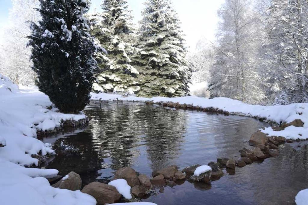 Gite GRETEL de la Ferme du Schneeberg Wangenbourg-Engenthal Exterior foto